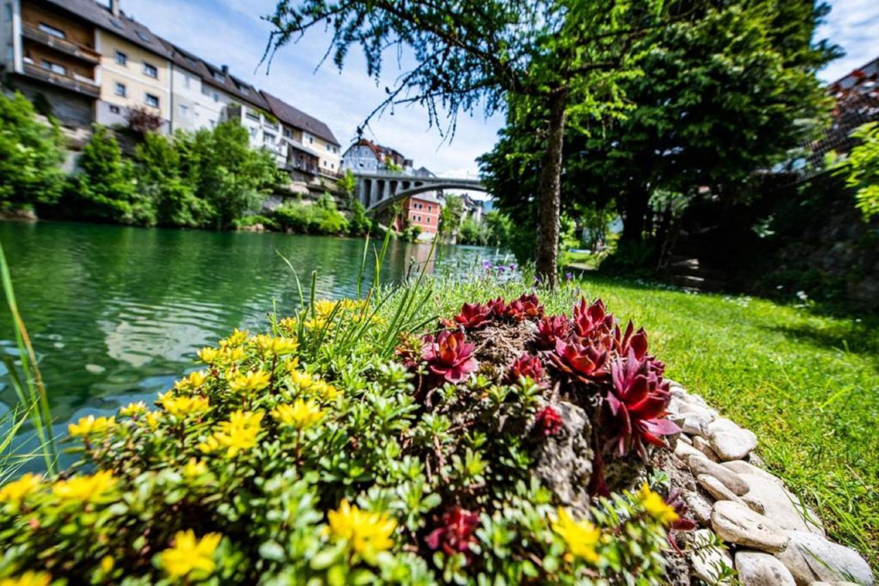 Appartement Leopold An Der Ybbs à Waidhofen an der Ybbs Extérieur photo
